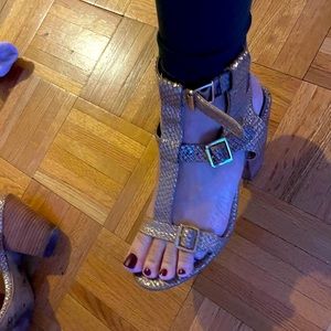 Seychelles Size 10 Gladiator Sandals